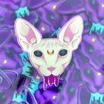 Crystal Kingdom: Acid Cats Holofoil Sticker 2.0